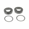 Campagnolo Hinterrad Lagerschalen + Kugellagersatz Stahl Mit Konen -Innenlager Verkaufsladen 53681 0 Ersatzteil Campagnolo Kugellagersatz HB RE100