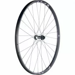 29 Zoll MTB Vorderrad DT Swiss 350 Straightpull Disc Nabe + E*thirteen LG1 EN Felge