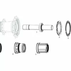 Zipp Freilaufkoerper NSW Cognition V2 | Campa ED -Innenlager Verkaufsladen 58966 1